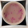 Flower Gel – Pink 5g - Perfect Nails BiH